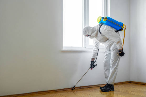 Best Flea Control Services  in China Grove, TX