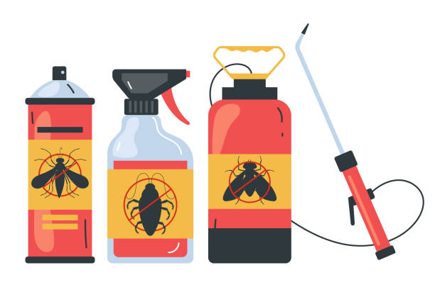 Best Termite Control Services  in China Grove, TX