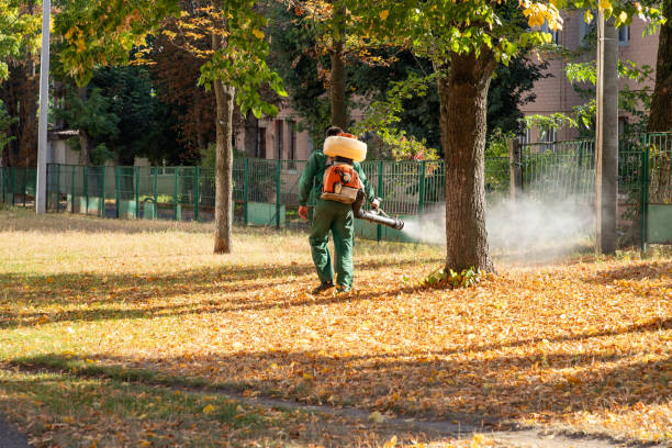 Best Mosquito Control Services  in China Grove, TX