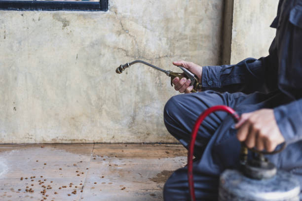 Best Pest Control Near Me in China Grove, TX